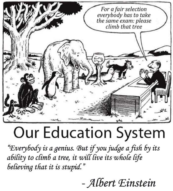 Our education system.jpg