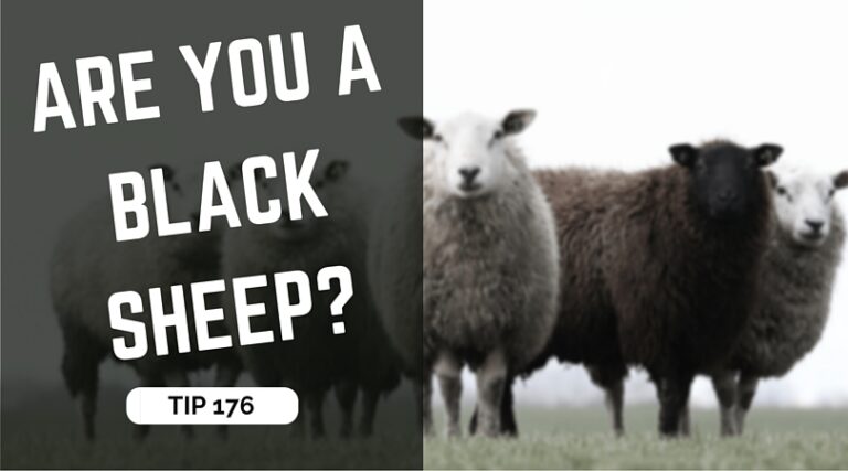 Are you a black sheep?