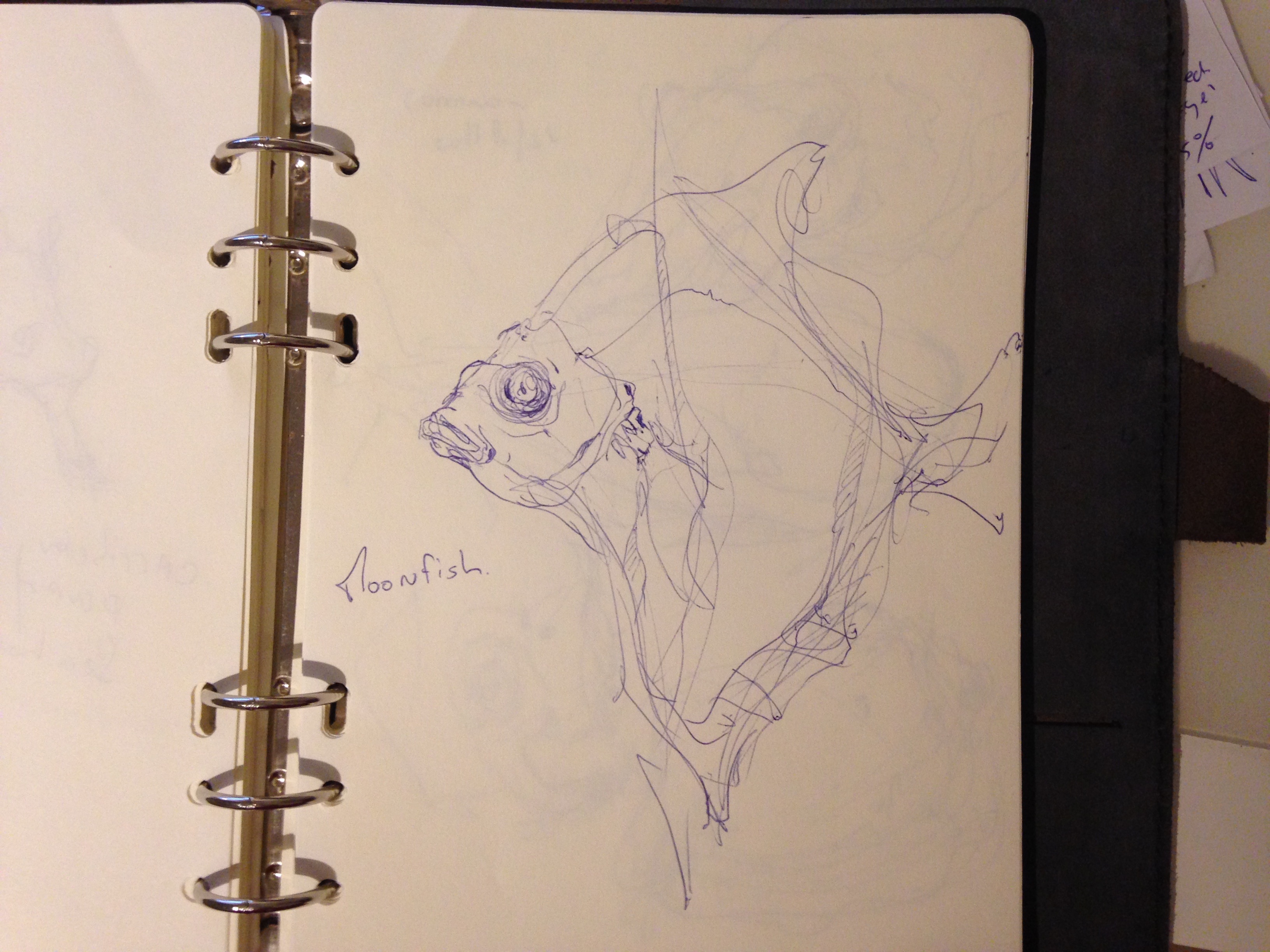 The design sketchbook sketch boston acquarium fish drawing ball point pen blue bic moonfish