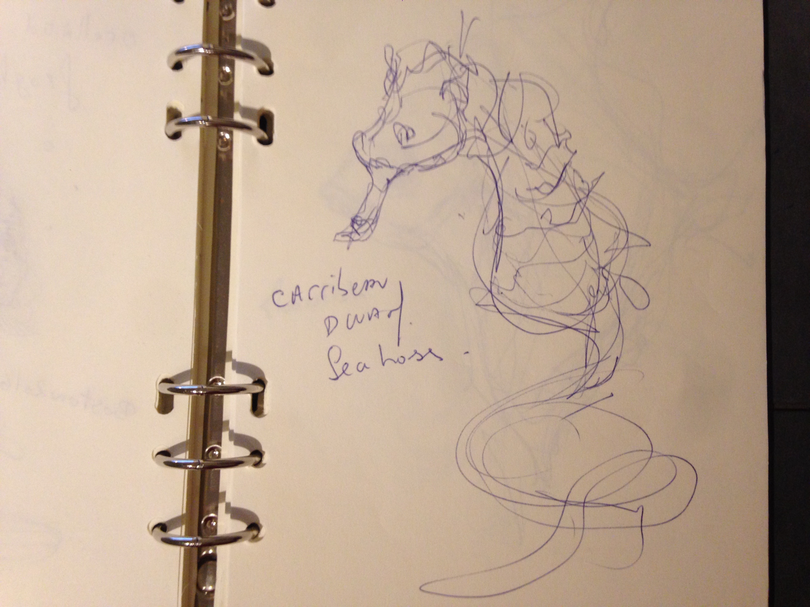The design sketchbook sketch boston acquarium fish drawing ball point pen blue bic carribean dwarf seahorse
