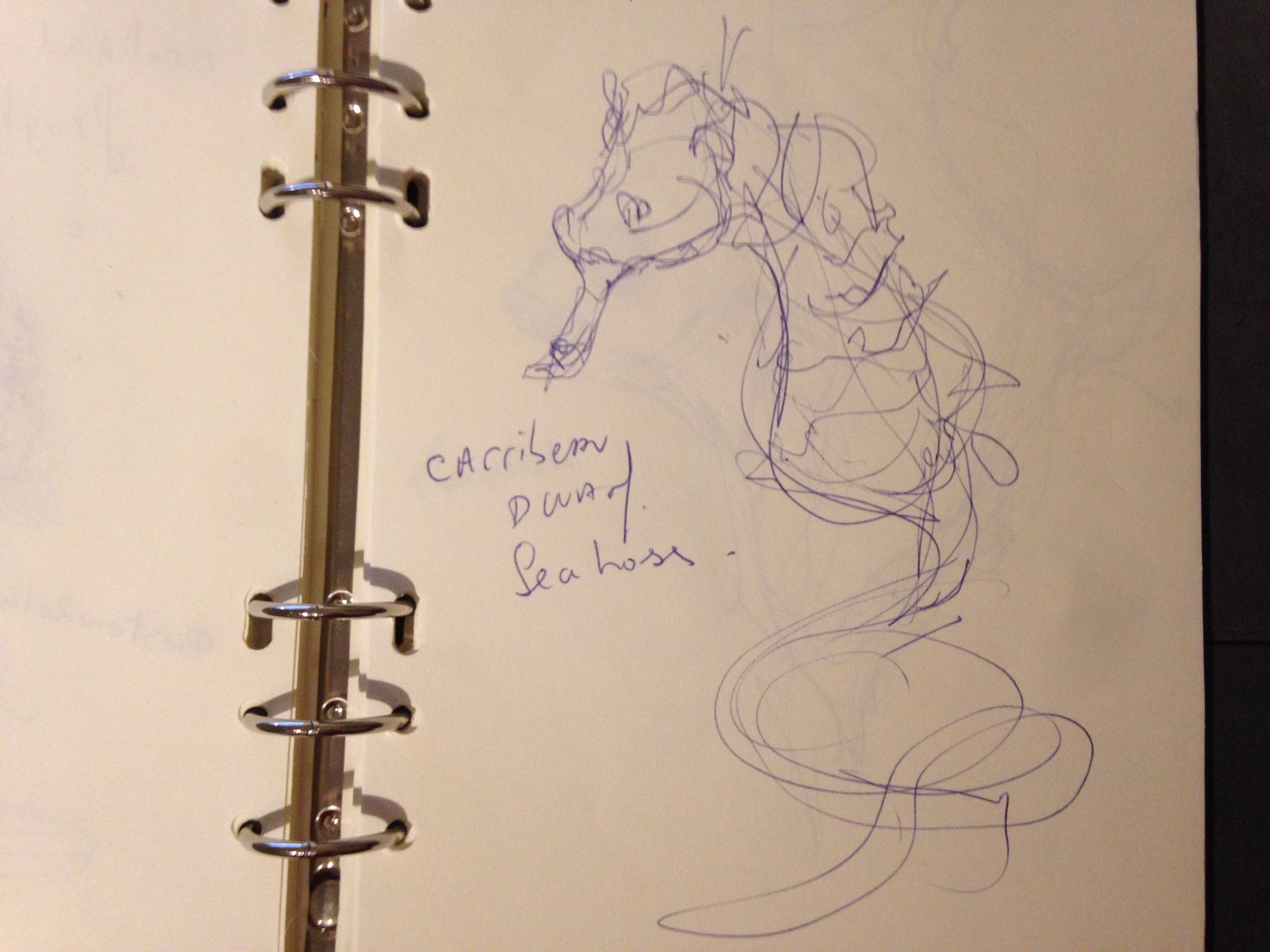 the design sketchbook sketch boston acquarium fish drawing ball point pen blue bic carribean dwarf seahorse