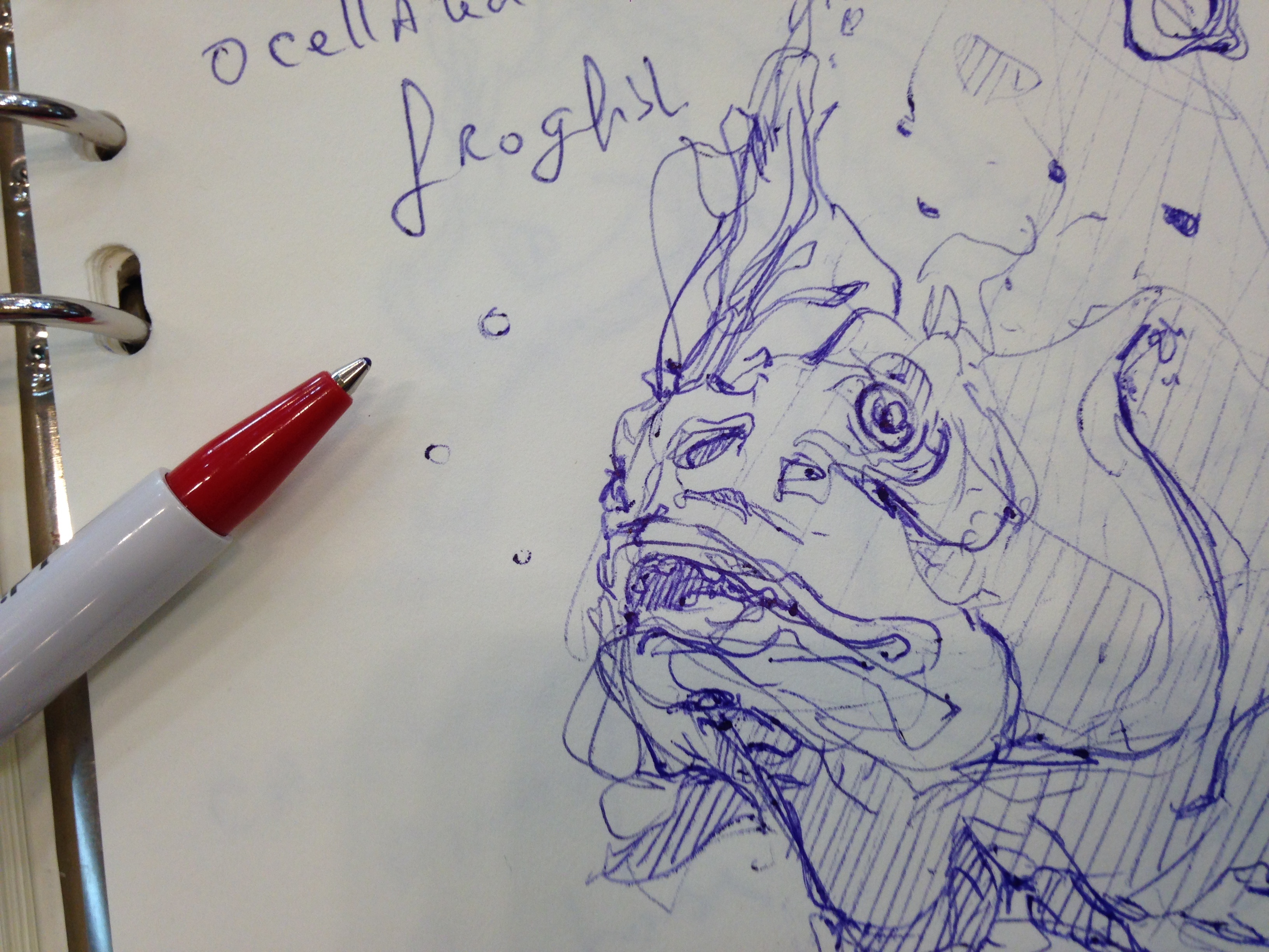 The design sketchbook sketch boston acquarium fish drawing ball point pen blue bic g