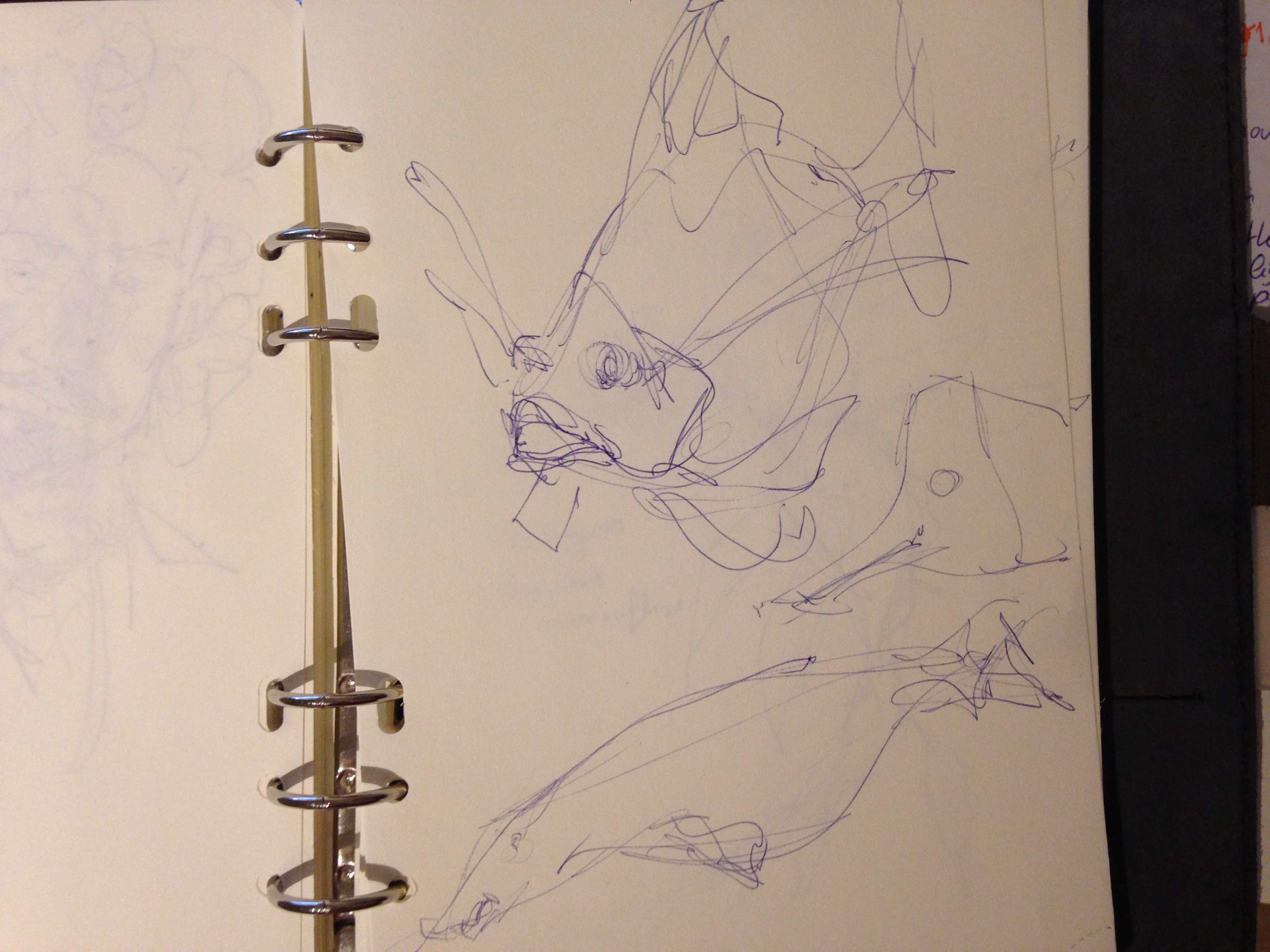 the design sketchbook sketch boston acquarium fish drawing ball point pen blue bic gh