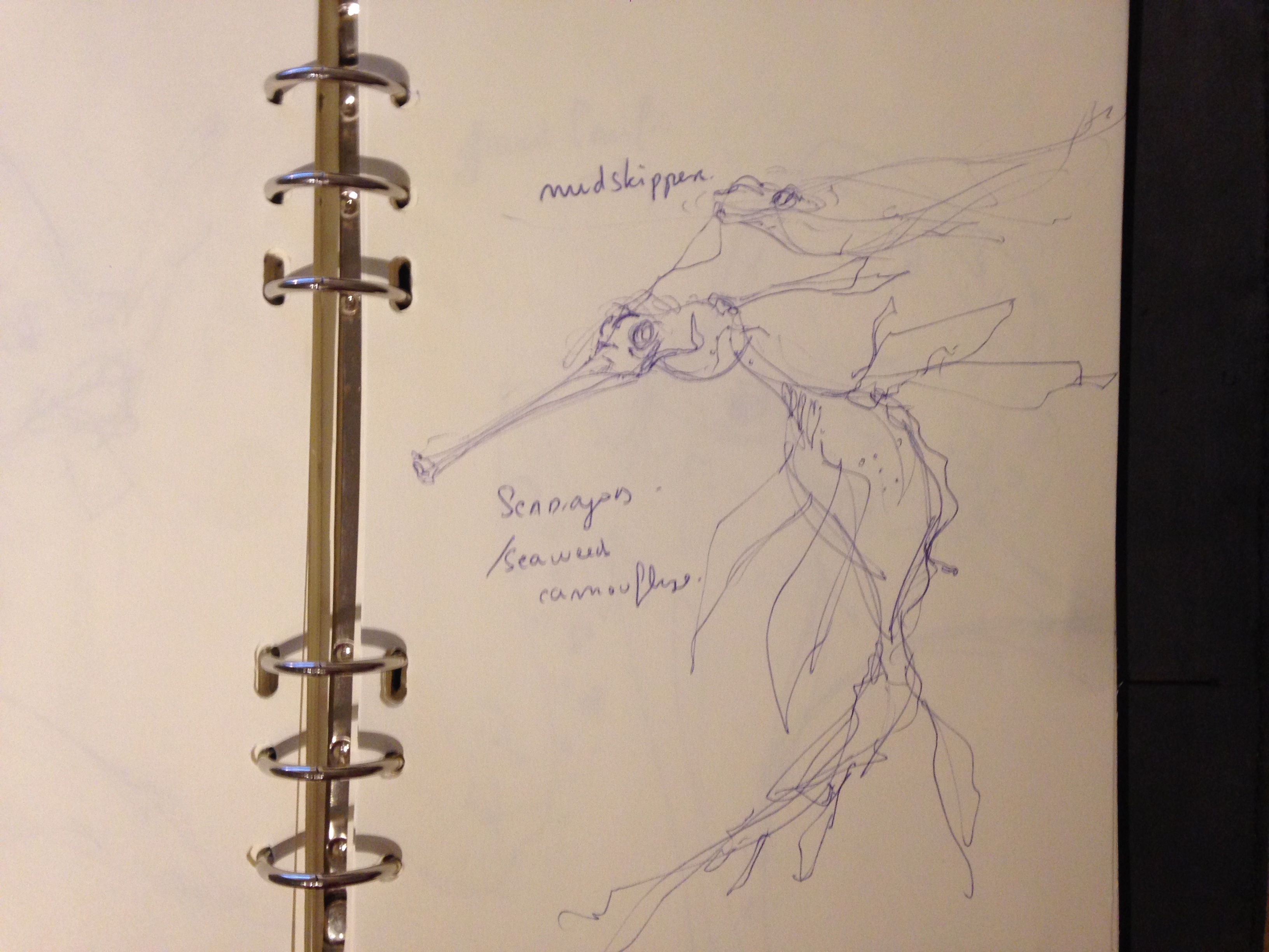 The design sketchbook sketch boston acquarium fish drawing ball point pen blue bic seadragon seaweed camouflage