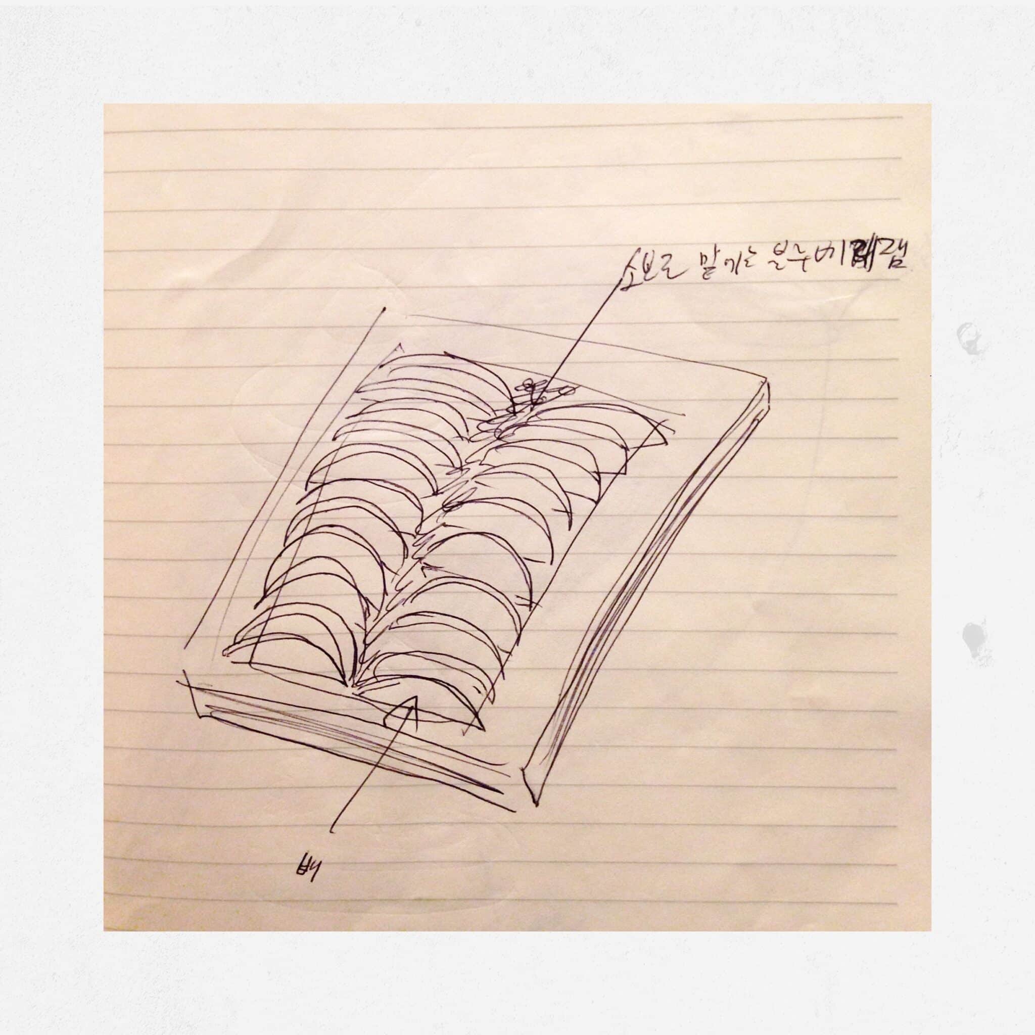 Drawing Apple tart