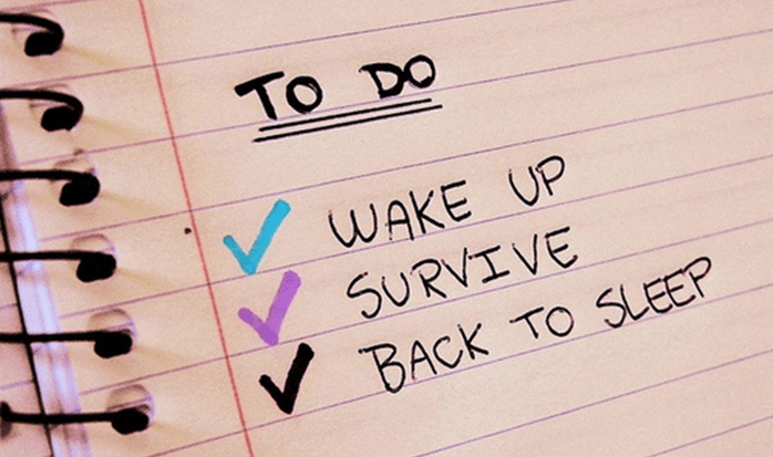 How I survived my design school and get my dream job.