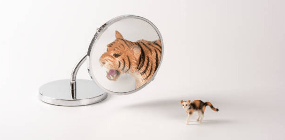 Cat tiger mirror