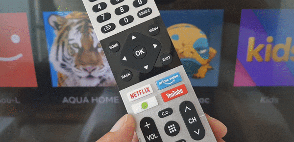 Netflix Youtube Prime Video remote 