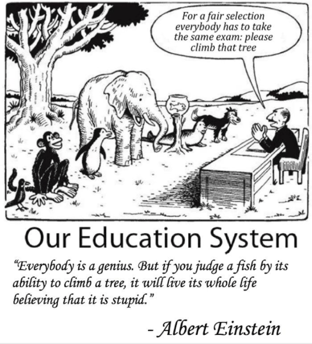 our education system asking a fish climbing a tree Albert Einstein
