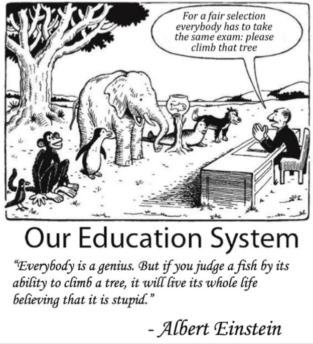 our education system asking a fish climbing a tree Albert Einstein