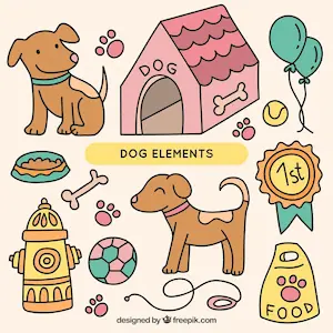 Draw dog's house and toys