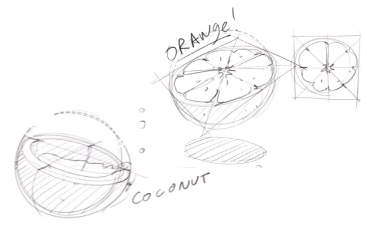 Draw coconut and orange cut in half