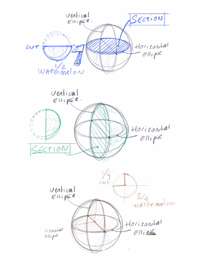 Draw section on sphere