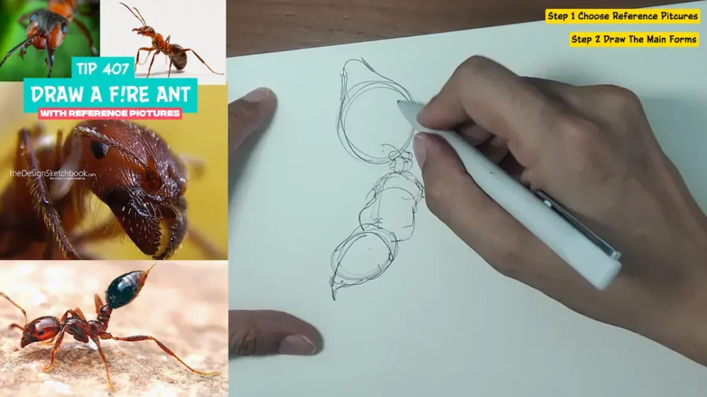 Block the main elements of the ant's body and posture sketching simple forms