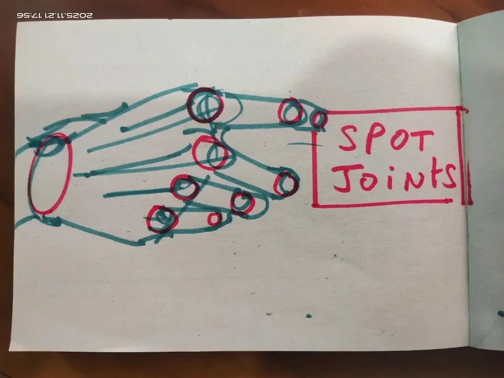 Spots the joints of the hand to connect and articulate the fingers